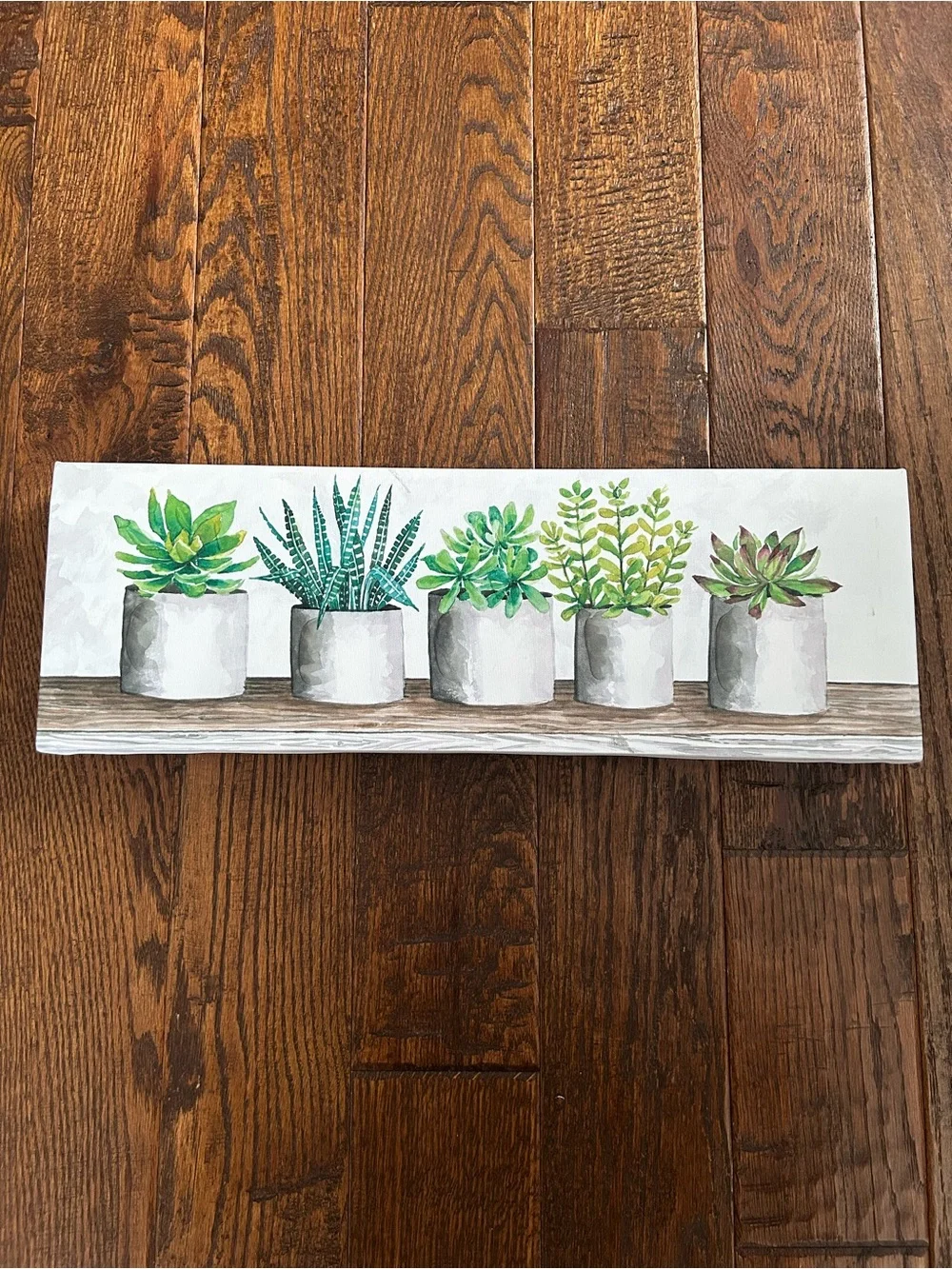Succulent wall canvas